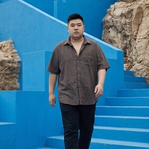 Daniel Cremieux 4XLT Shortsleeve Button Down Brown Check GUC